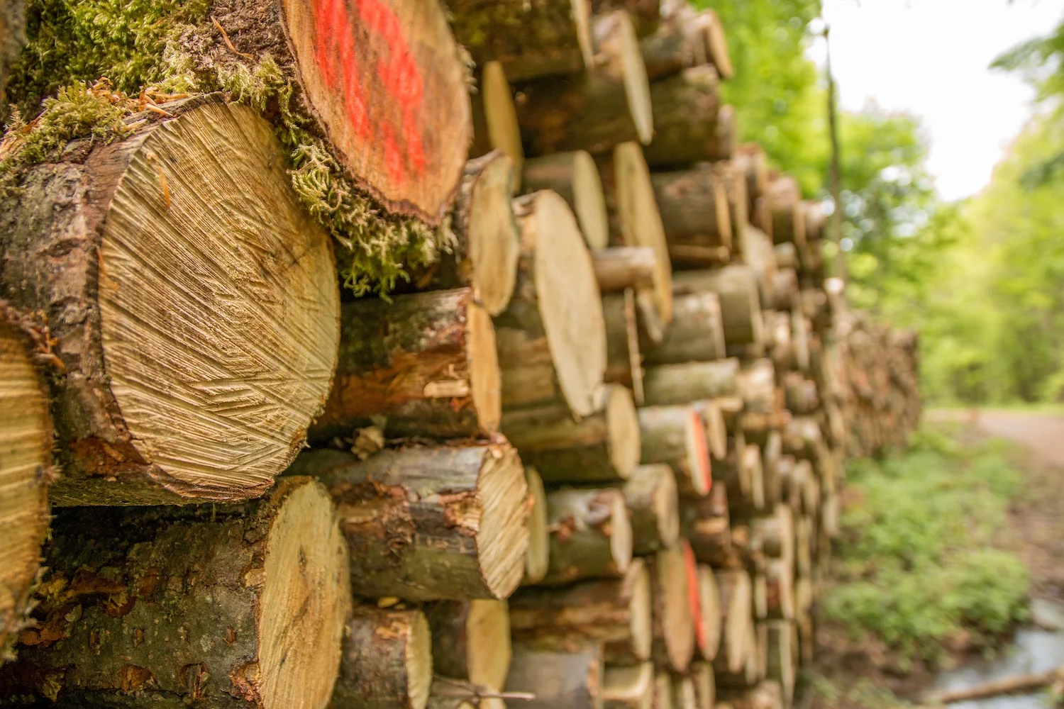 lumber image