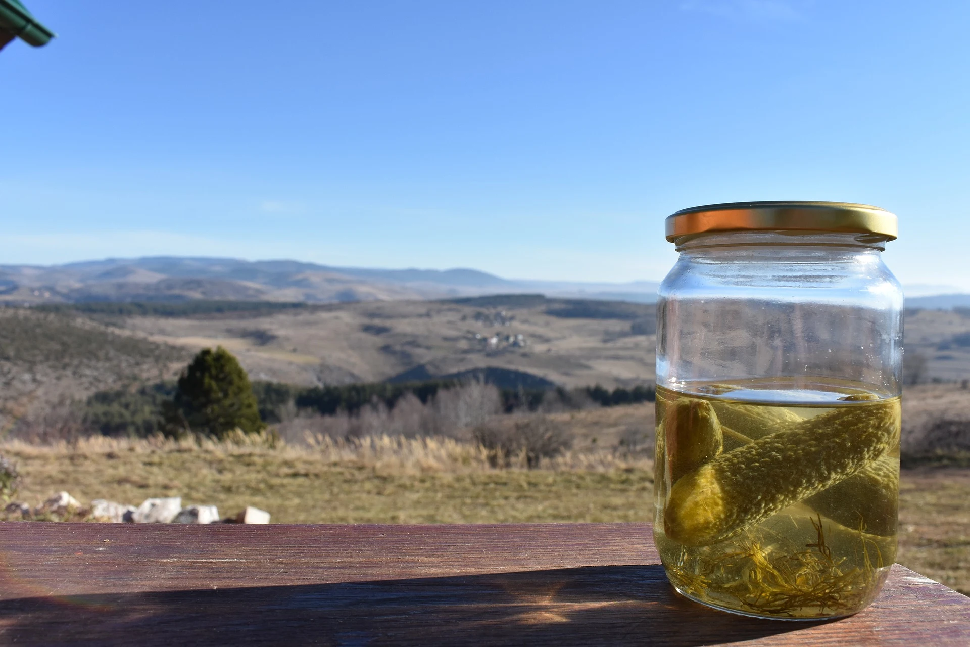 pickle image