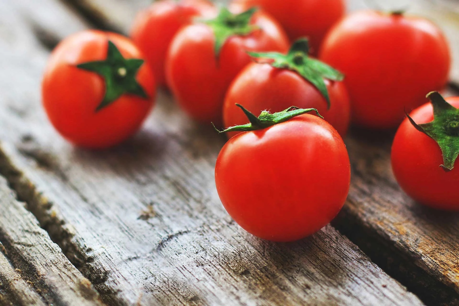 tomatoes image